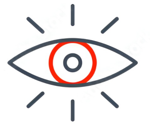 Vision Image